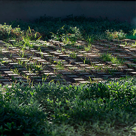 Transformacions_urbanes